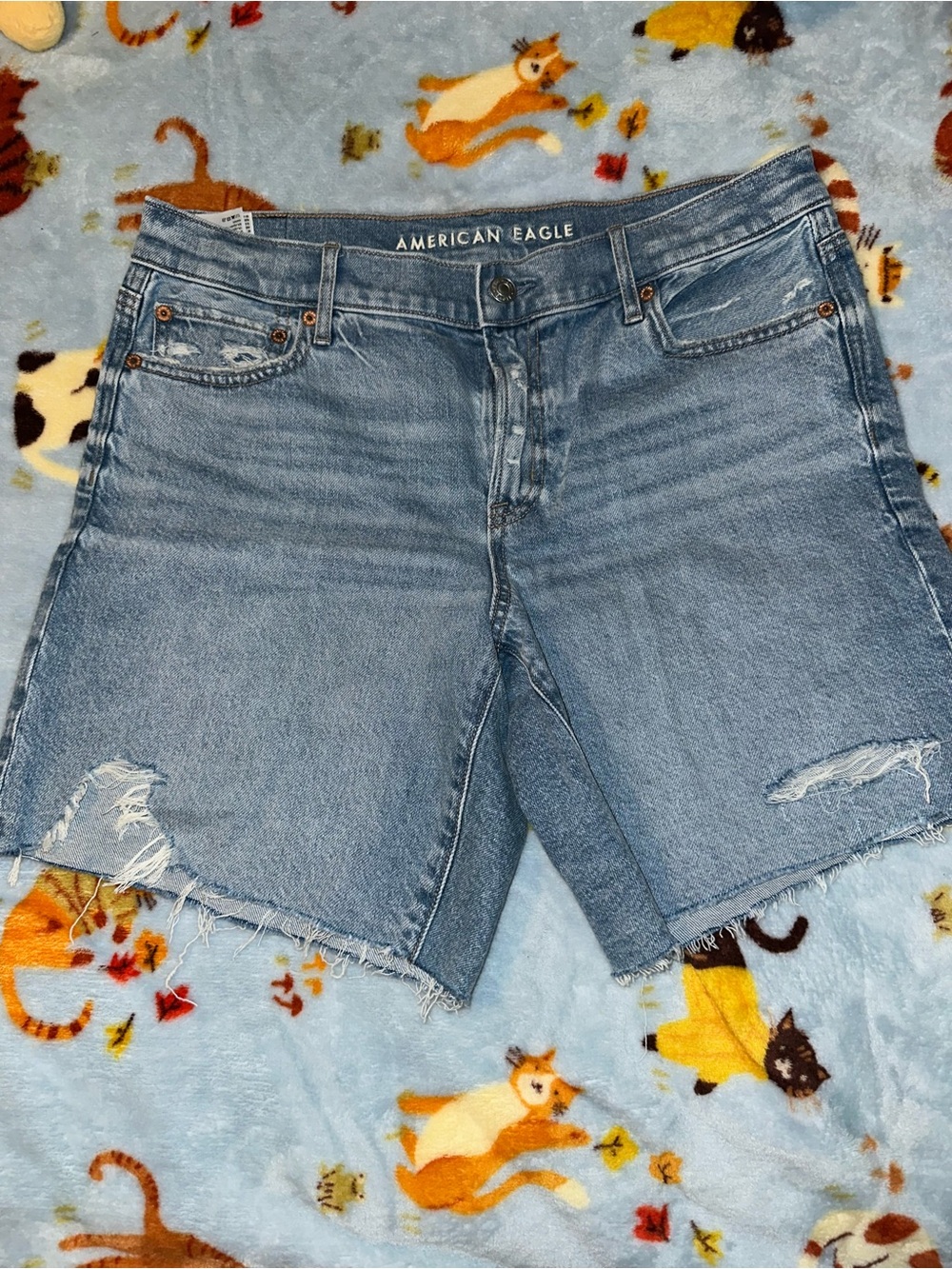 American Eagle Outfitters Light Blue Distressed Denim Perfect Bermuda Short